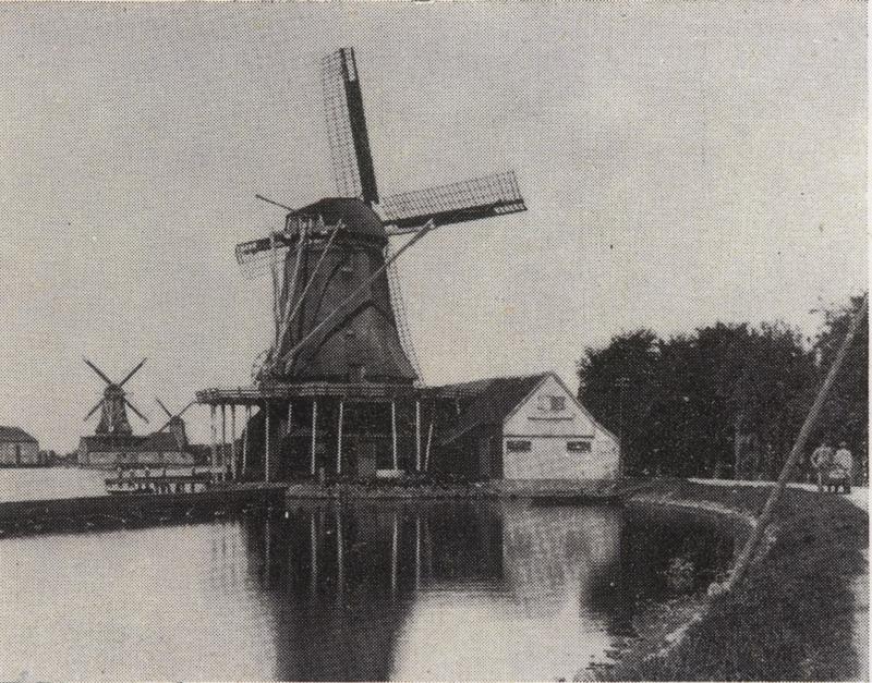 Foto 131907392